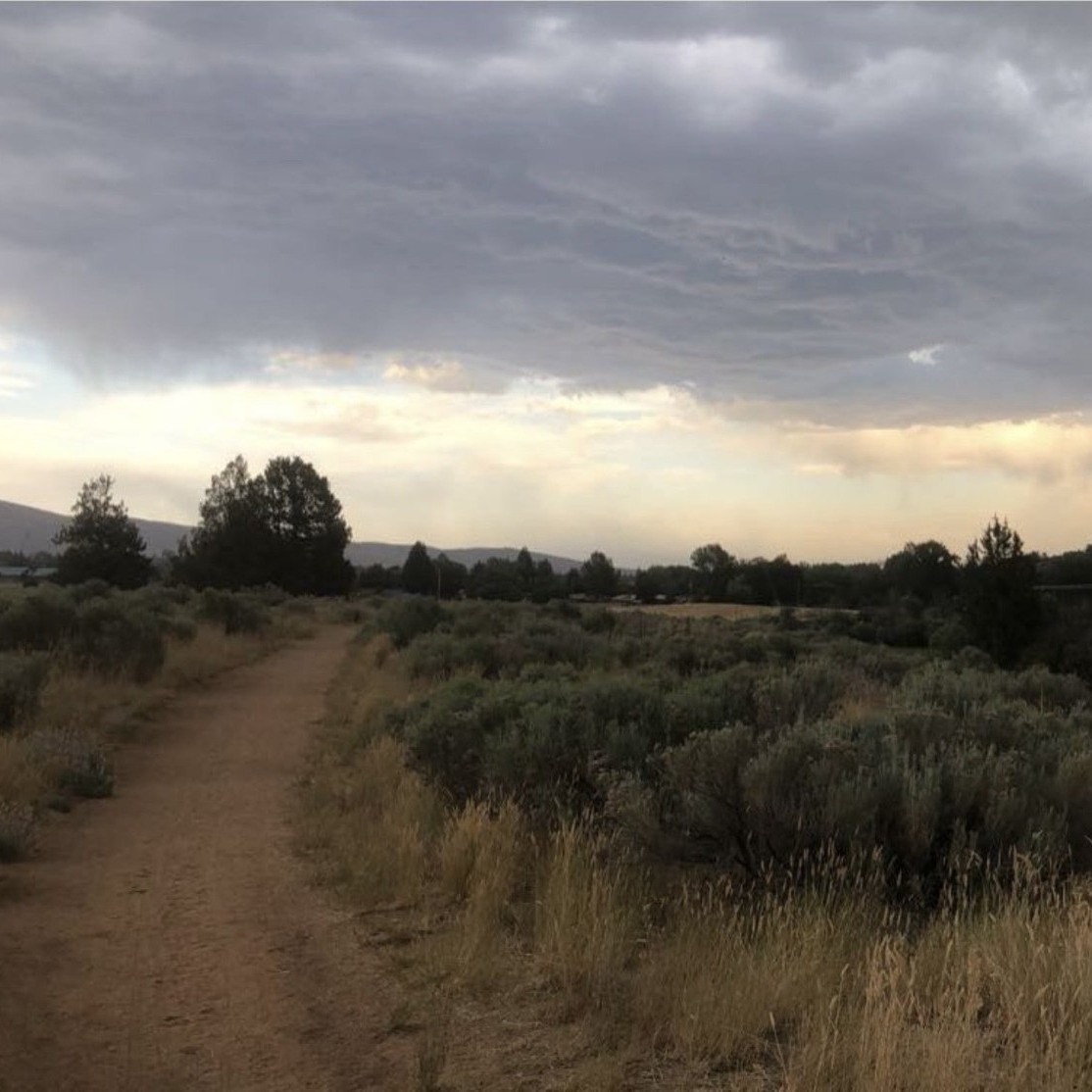 Maximize Returns On Any Property In ‘The Hub’