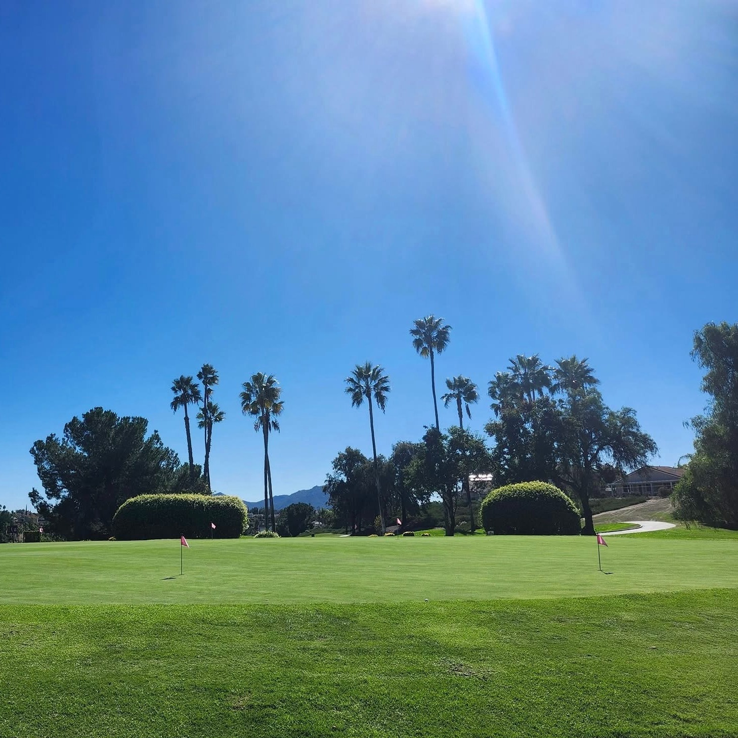 Maximize Your Temecula Rental Value