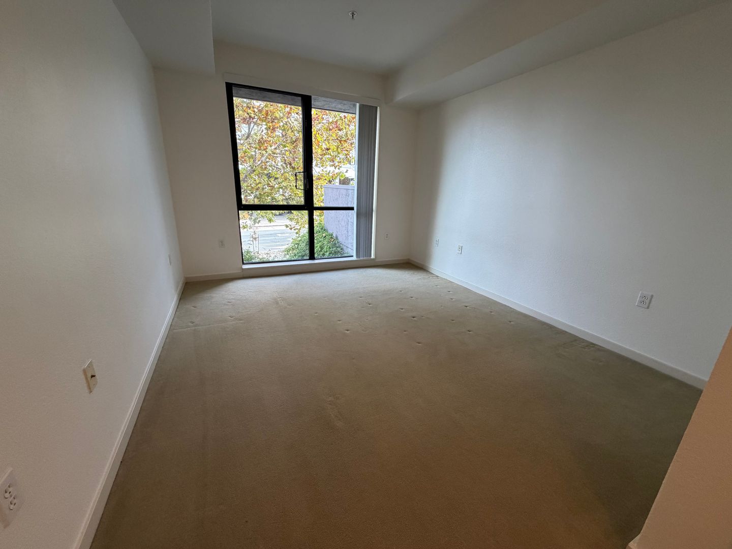 1655 N California Blvd Unit 158 - Walnut Creek - California - 2 bed, 2 bath rental property