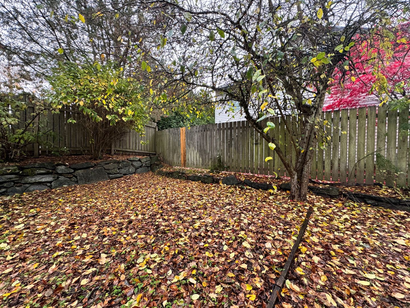 1808 E Sunset Dr #102 - Bellingham - Washington - 2 bed, 1 bath rental property