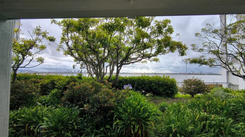2 Anchor Drive #294 - Emeryville - California - 1 bath rental property