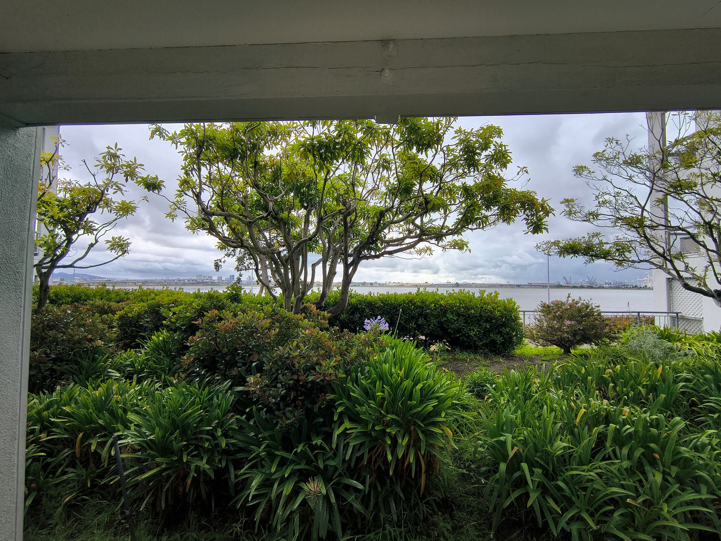 2 Anchor Drive #294 - Emeryville - California - 1 bath rental property