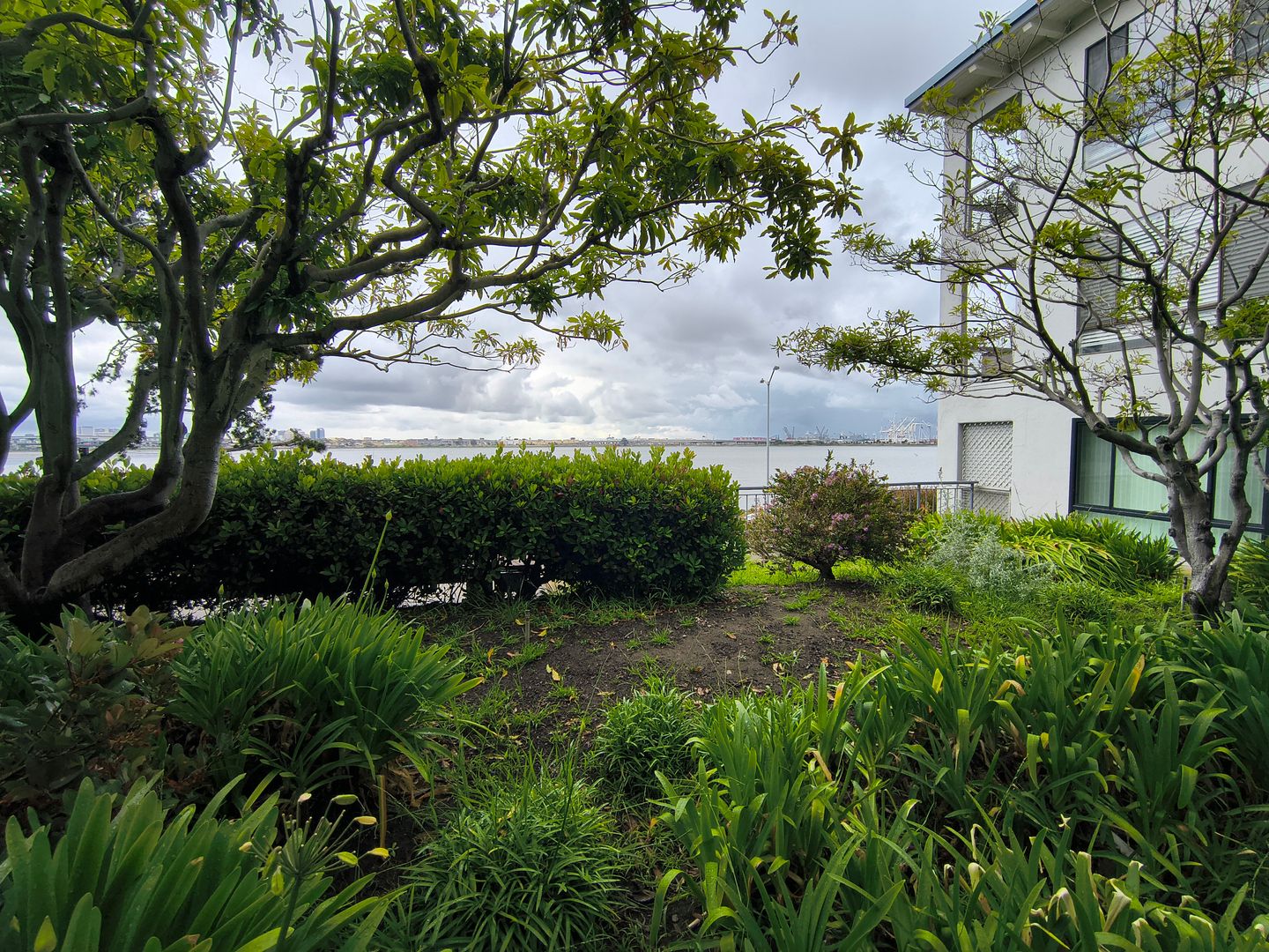 2 Anchor Drive #294 - Emeryville - California - 1 bath rental property