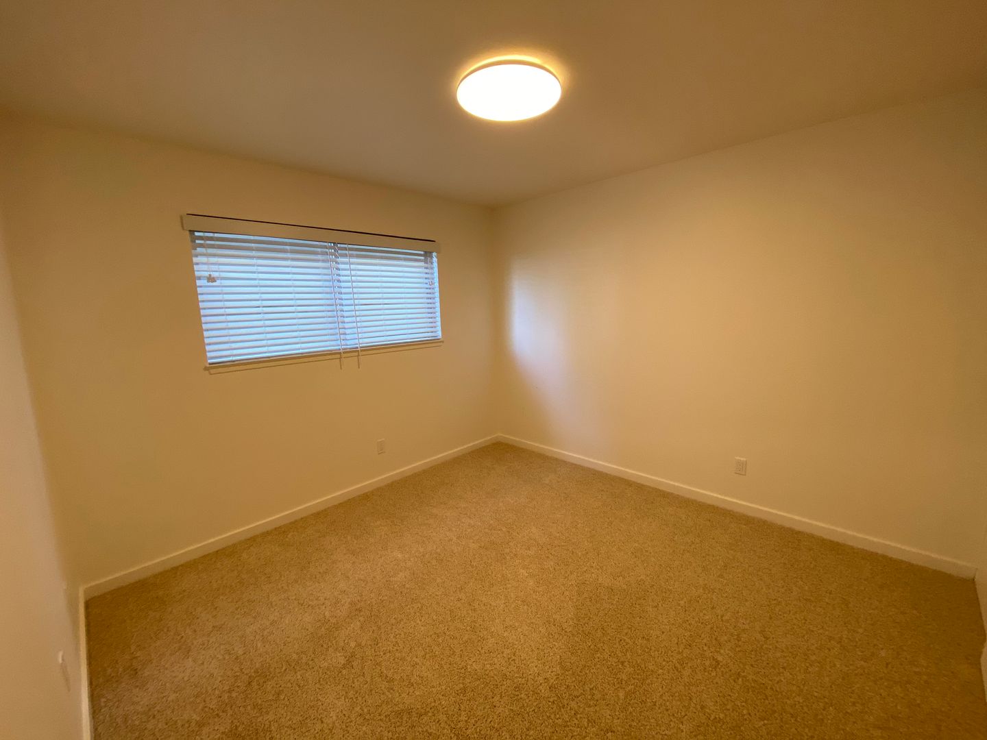 318 Laurel Street - Santa Cruz - California - 2 bed, 1 bath rental property