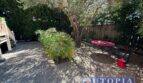 333 Locust Street - Unit 3 - Santa Cruz - California - 1 bed, 1 bath rental property