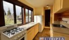 333 Locust Street - Unit 3 - Santa Cruz - California - 1 bed, 1 bath rental property