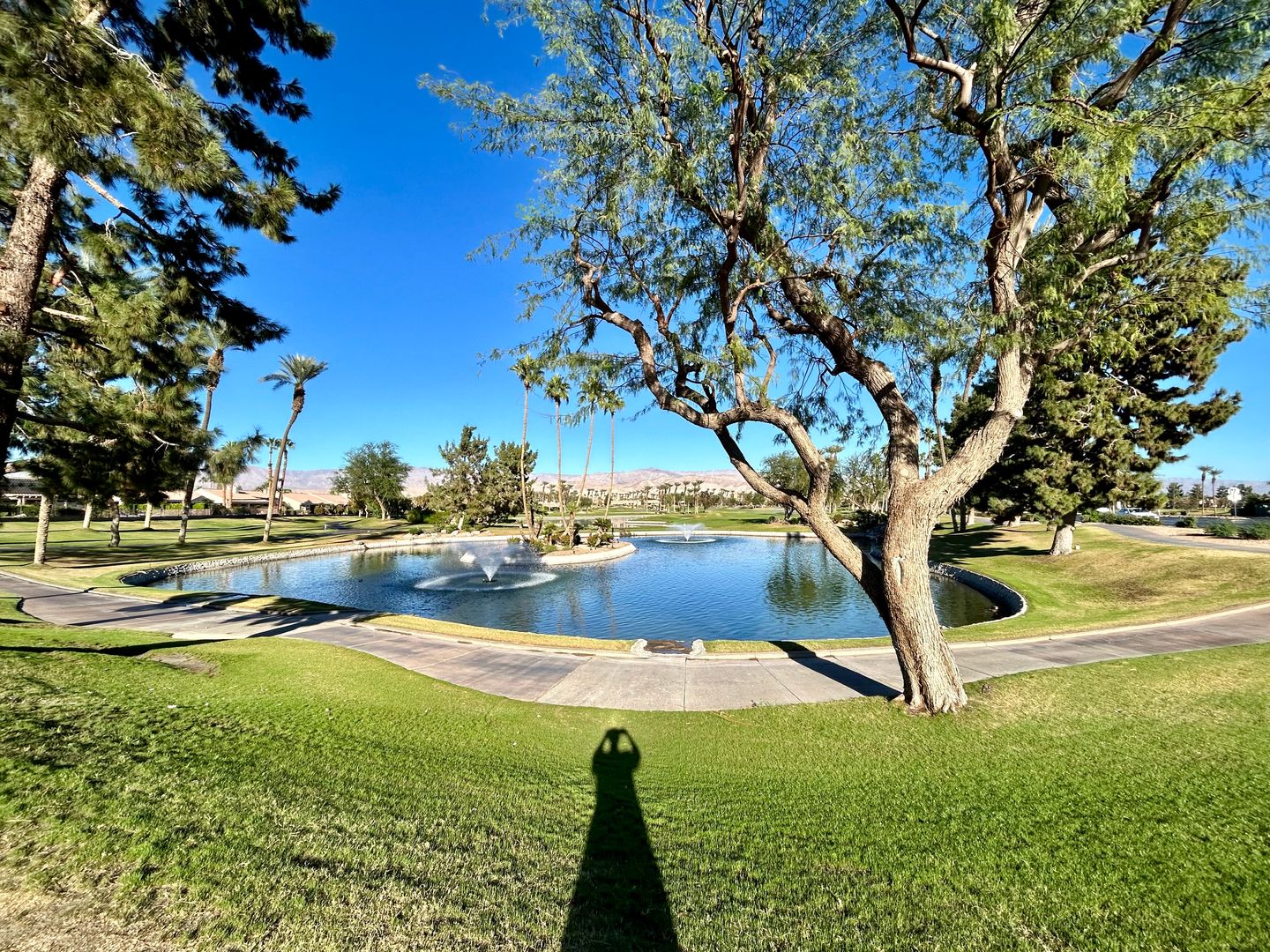 36440 Blue Palm Drive  - Palm Desert - California - 2 bed, 2 bath rental property