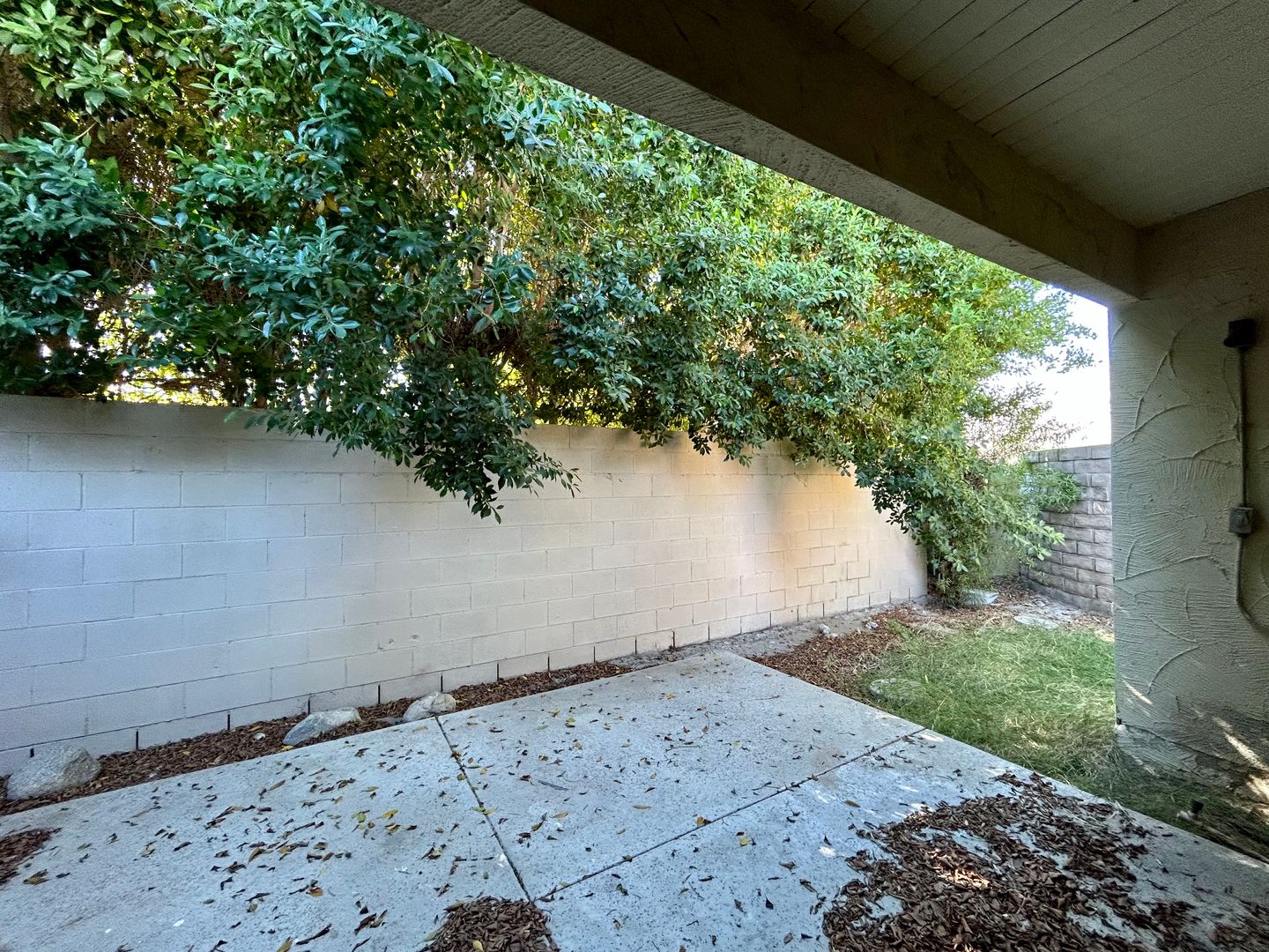 3737 East Calle De Carlos  - Unit 5  - Palm Springs - California - 1 bed, 1 bath rental property