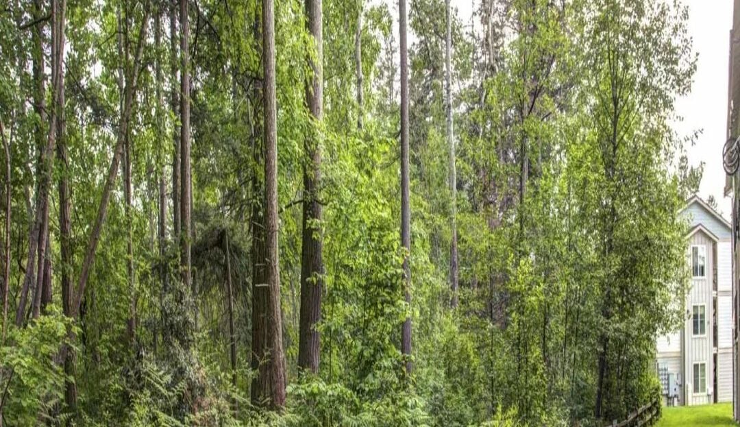 4018 Northwest Avenue - Bellingham - Washington - 2 bed, 2 bath rental property