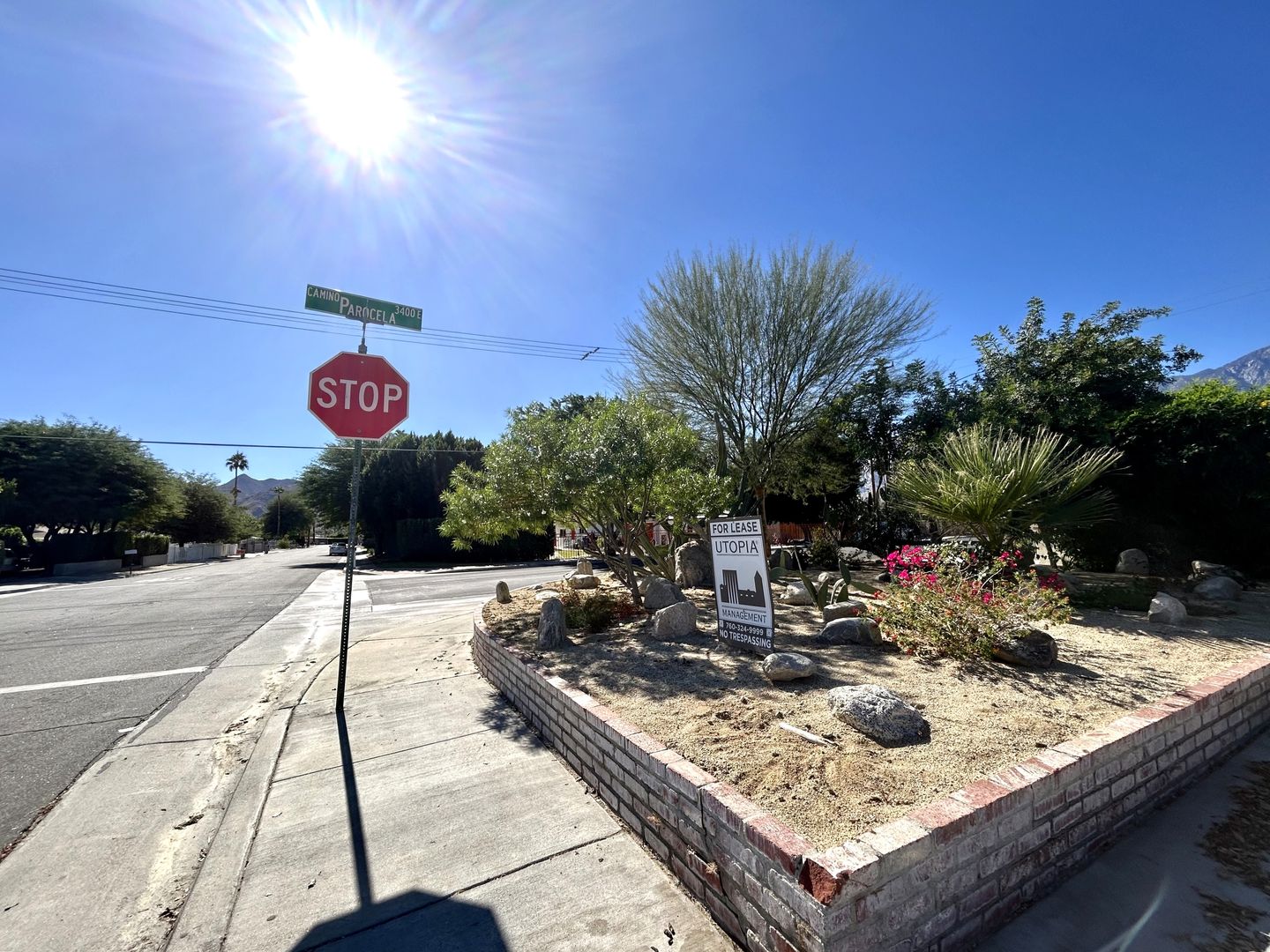 579 S Highland Drive - Palm Springs - California - 2 bed, 1 bath rental property