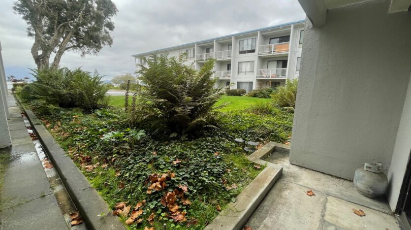 6 Captain Drive #227 - Emeryville - California - 1 bed, 1 bath rental property