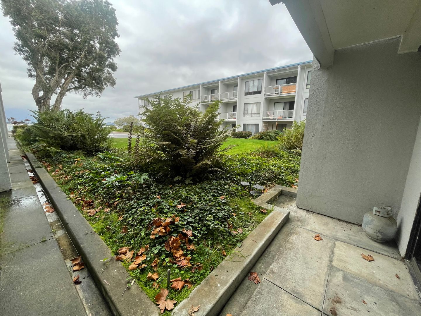 6 Captain Drive #227 - Emeryville - California - 1 bed, 1 bath rental property