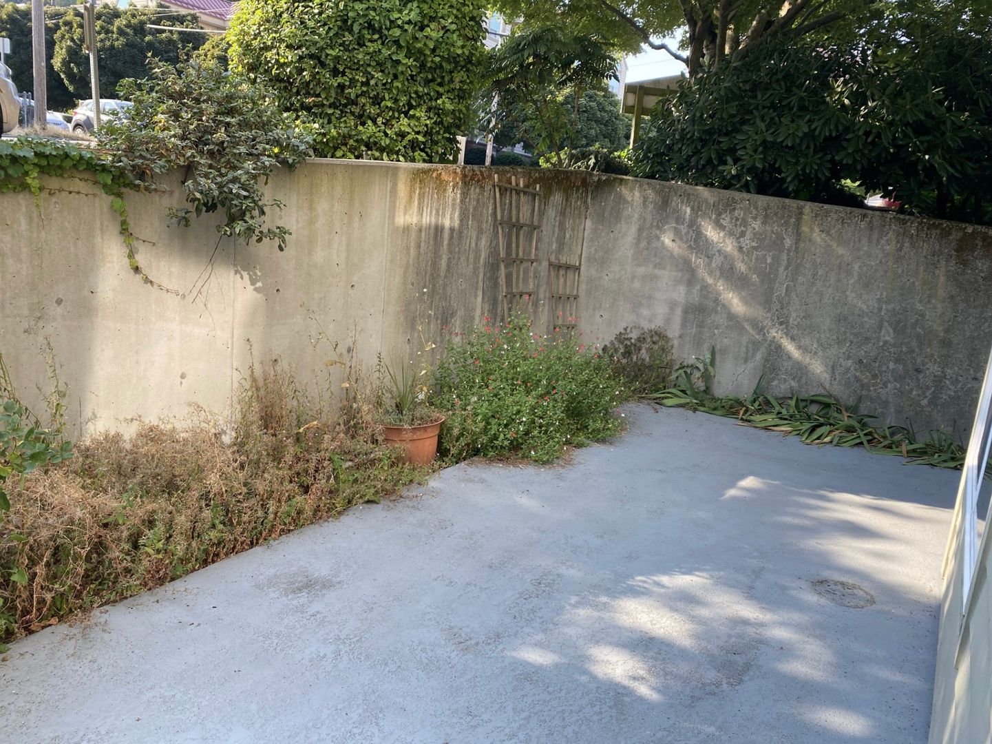 601 Prospect St #101 - Seattle - Washington - 1 bed, 1 bath rental property