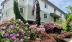 601 Prospect St #101 - Seattle - Washington - 1 bed, 1 bath rental property