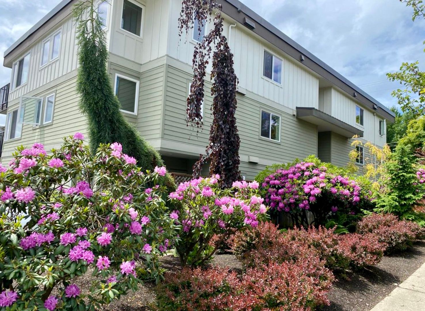 601 Prospect St #101 - Seattle - Washington - 1 bed, 1 bath rental property