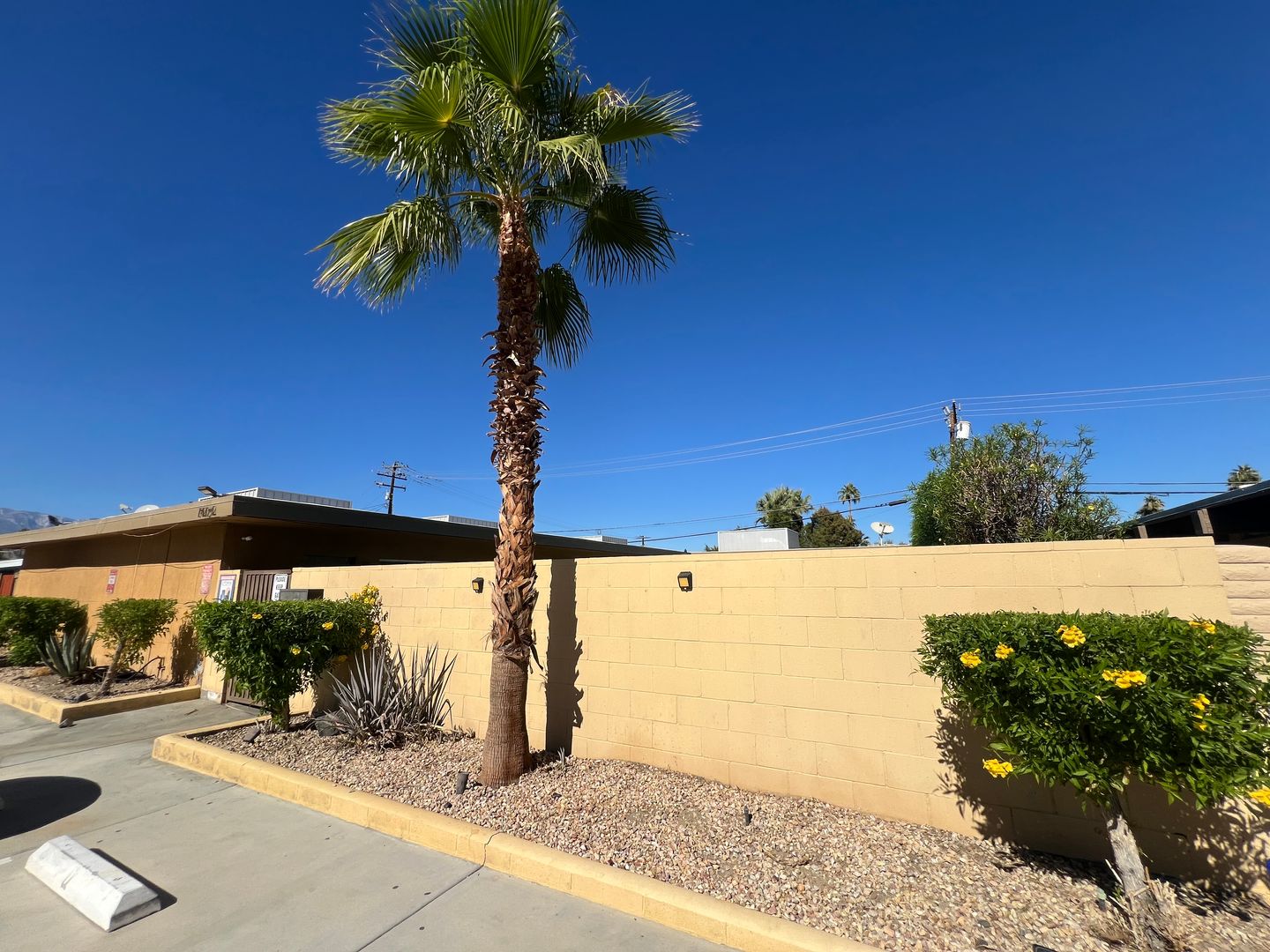 74124 Candlewood  - Unit D - Palm Desert - California - 2 bed, 2 bath rental property