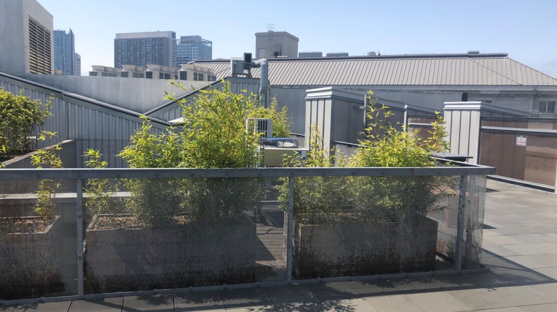 83 McAllister St, Unit 109 - San Francisco - California - 1 bed, 1 bath rental property