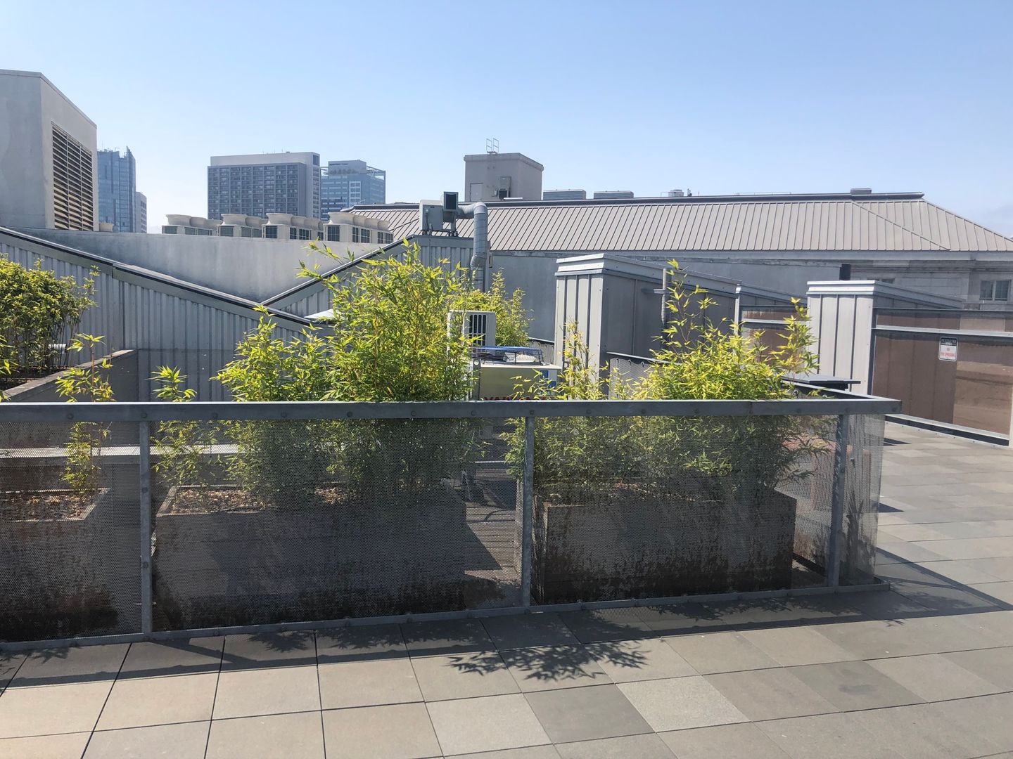 83 McAllister St, Unit 109 - San Francisco - California - 1 bed, 1 bath rental property