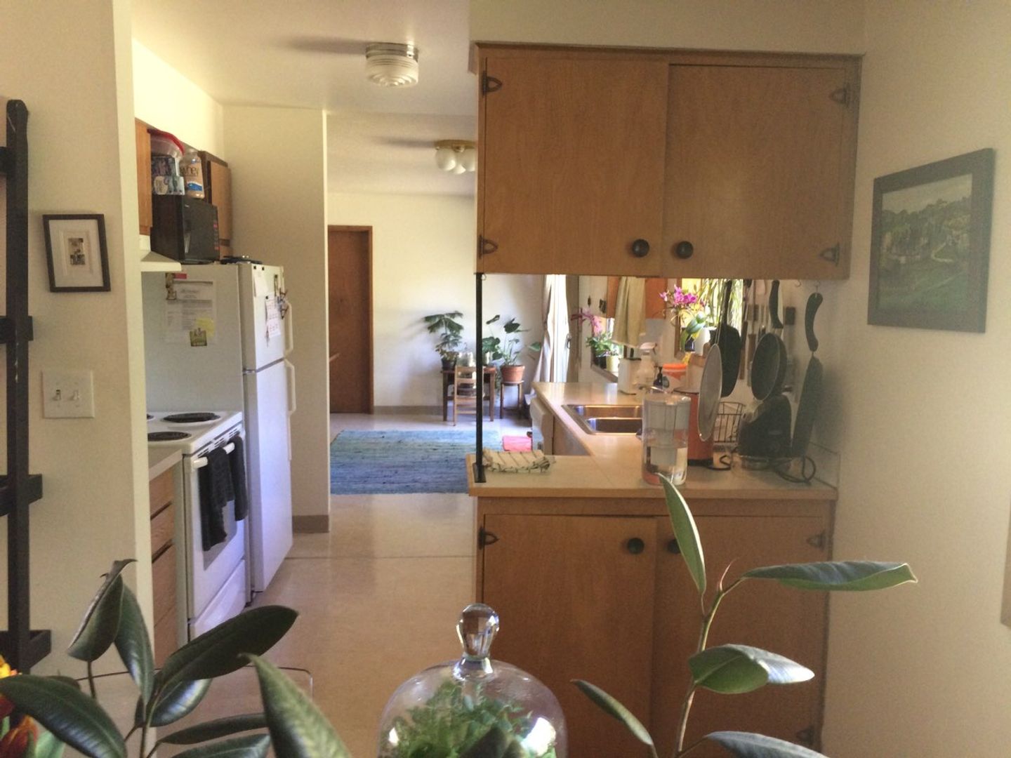 10300 SW Fourth Avenue - Room 1 - Portland - Oregon - 1 bed, 1 bath rental property