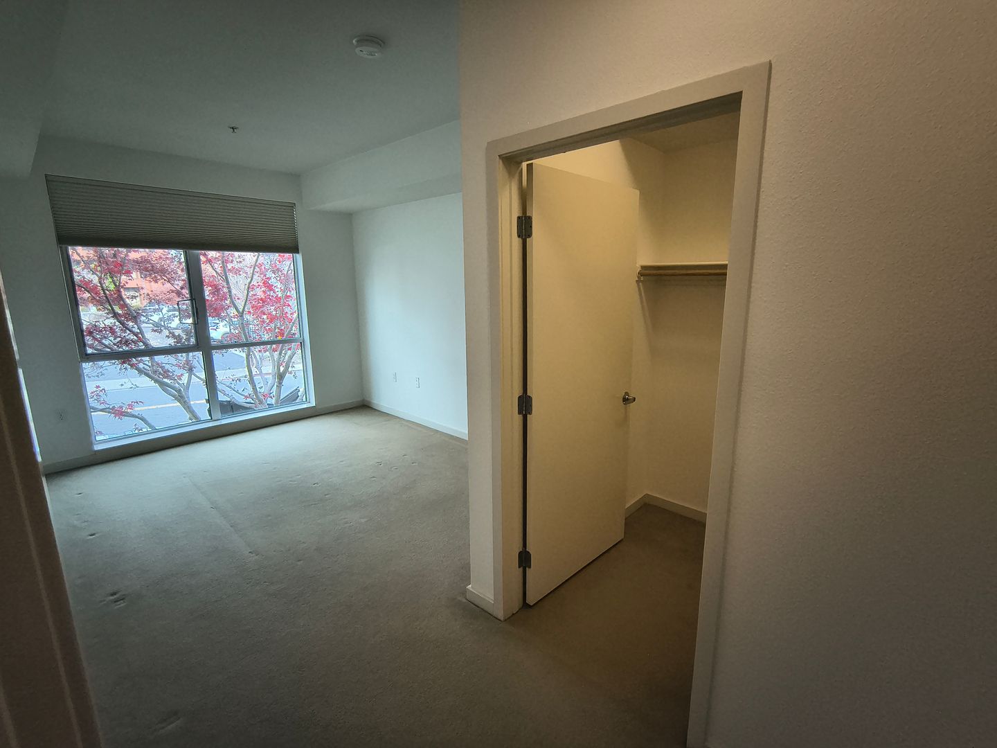 1655 N California Blvd Unit 151 - Walnut Creek - California - 2 bed, 2 bath rental property
