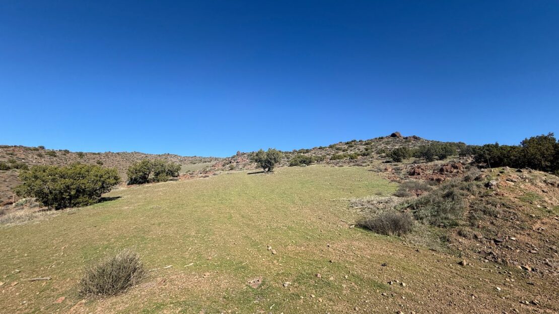 2747 Sand Creek Dr. - Acton - California - 5 bed, 3.5 bath rental property