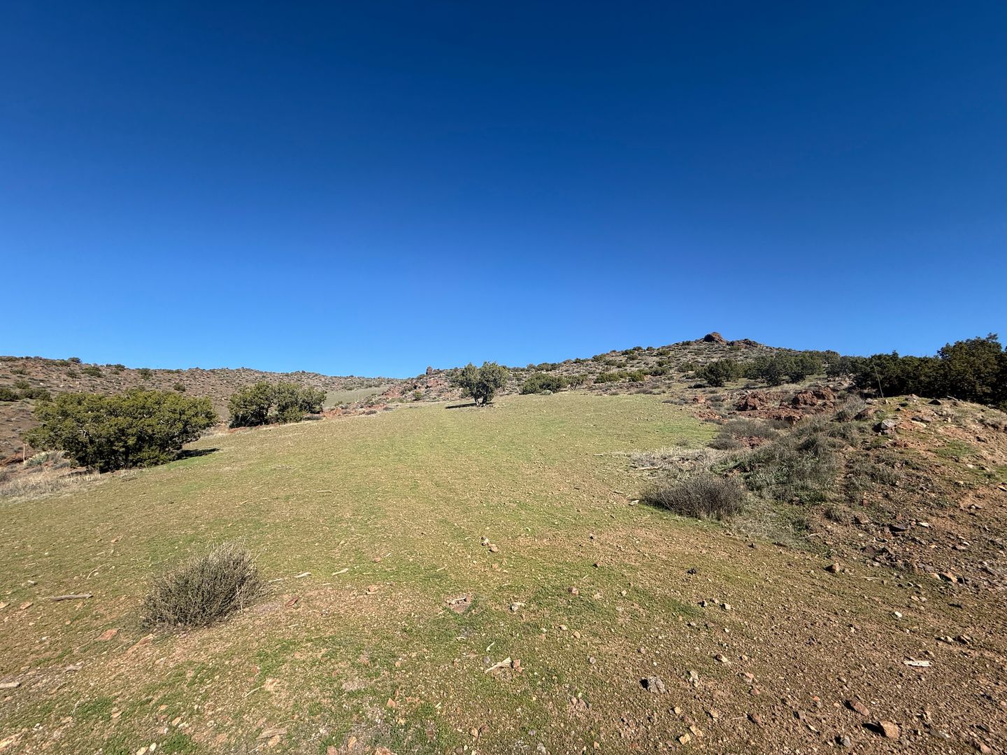 2747 Sand Creek Dr. - Acton - California - 5 bed, 3.5 bath rental property