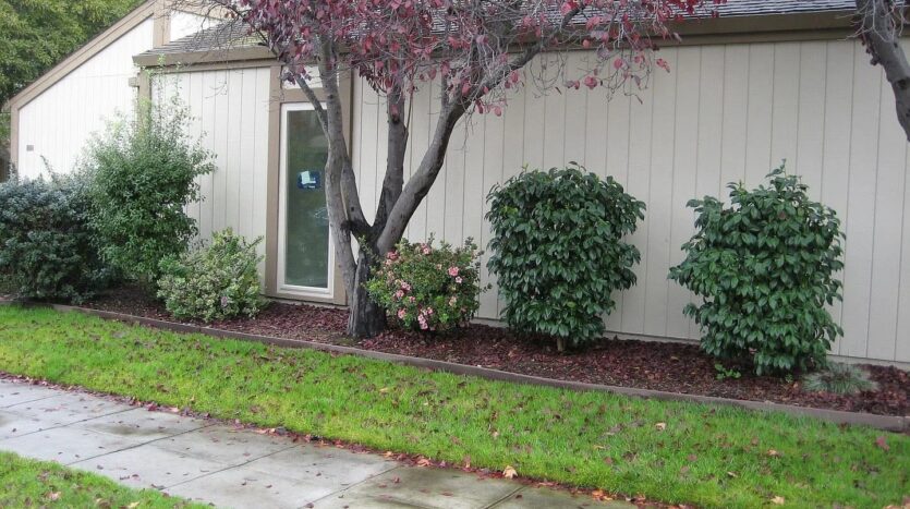3173 Phoenix Lane - Alameda - California - 2 bed, 2 bath rental property