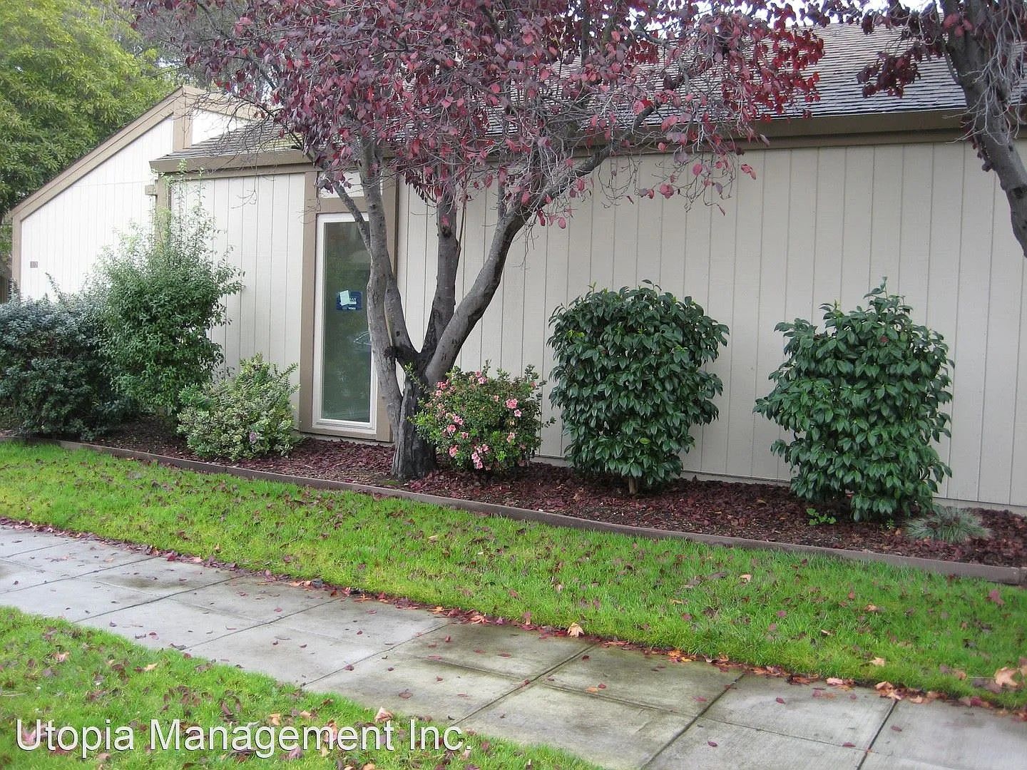 3173 Phoenix Lane - Alameda - California - 2 bed, 2 bath rental property