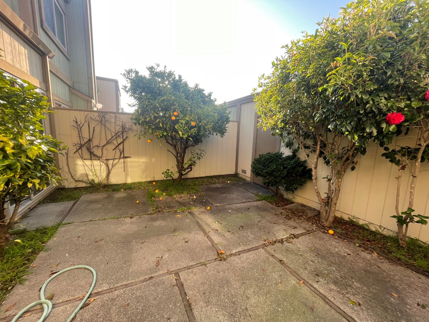 3173 Phoenix Lane - Alameda - California - 2 bed, 2 bath rental property