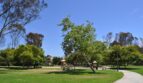 3252 Via Marin #12 - San Diego - California - 2 bed, 1.5 bath rental property