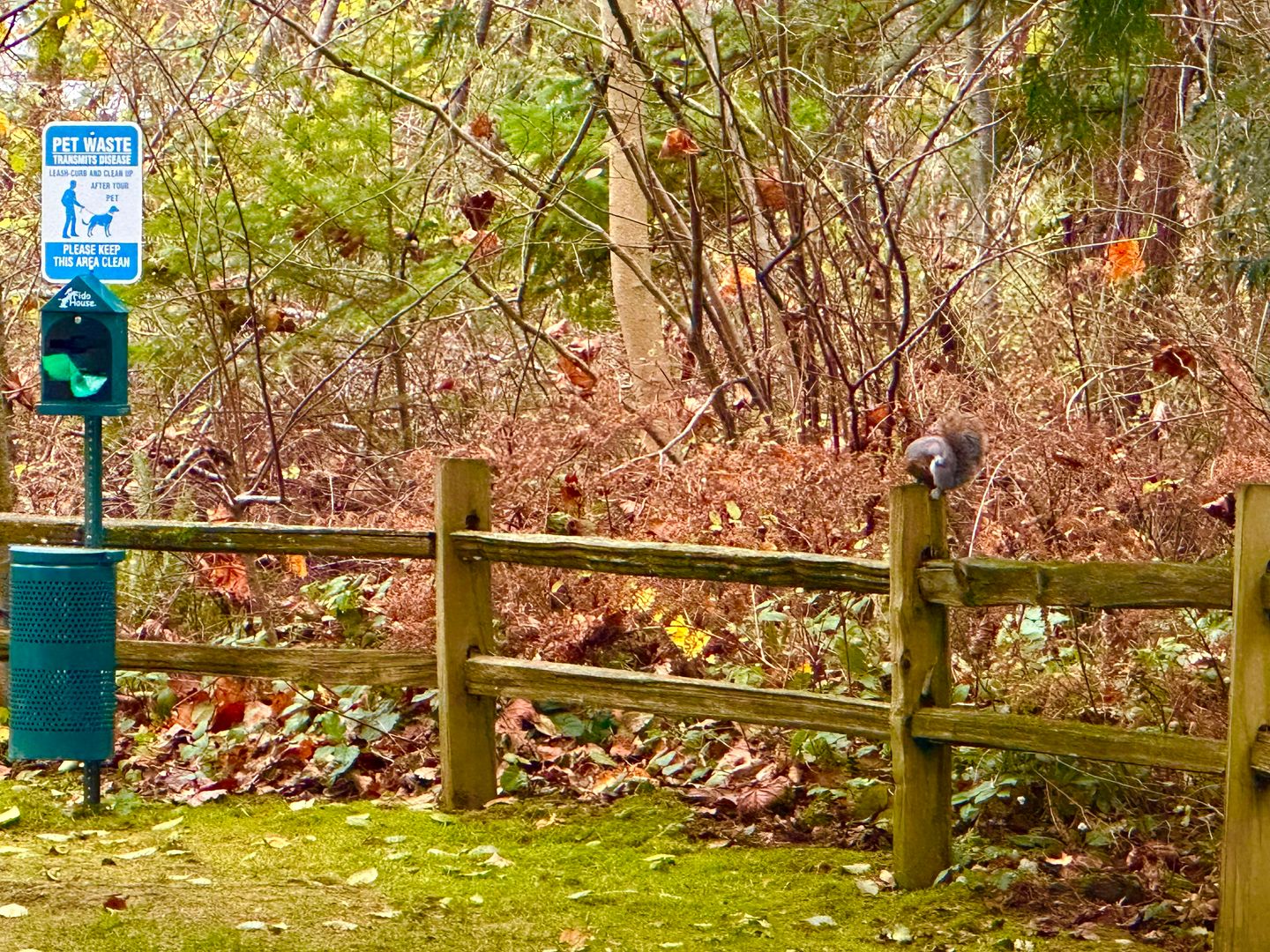 4018 Northwest Avenue - Bellingham - Washington - 1 bed, 1 bath rental property