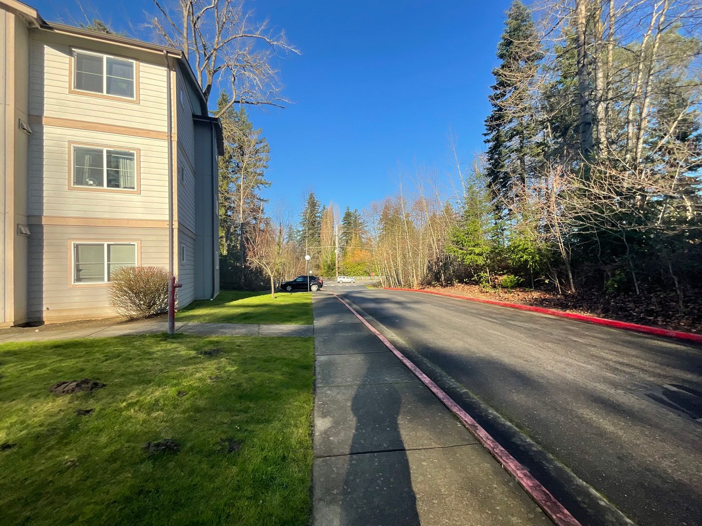 4018 Northwest Avenue - Bellingham - Washington - 2 bed, 1 bath rental property