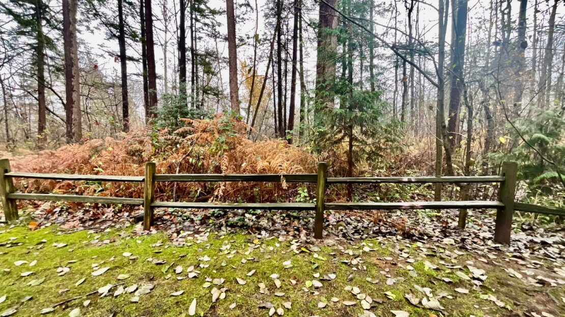 4018 Northwest Avenue - Bellingham - Washington - 1 bed, 1 bath rental property