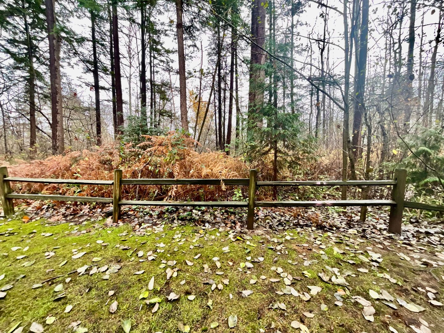 4018 Northwest Avenue - Bellingham - Washington - 1 bed, 1 bath rental property