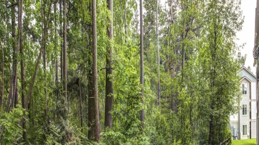 4018 Northwest Avenue - Bellingham - Washington - 1 bed, 1 bath rental property