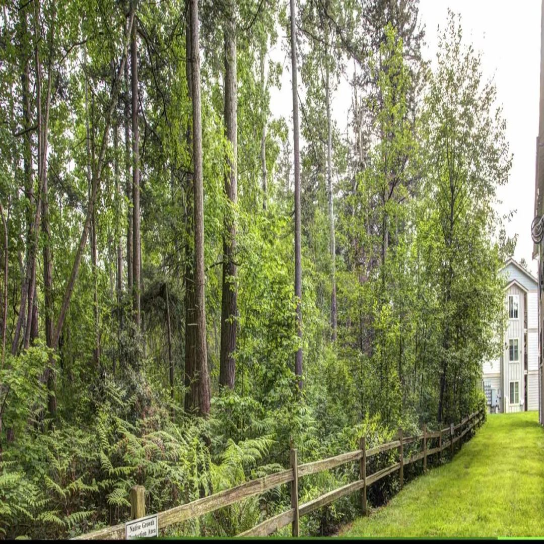 4018 Northwest Avenue - Bellingham - Washington - 1 bed, 1 bath rental property