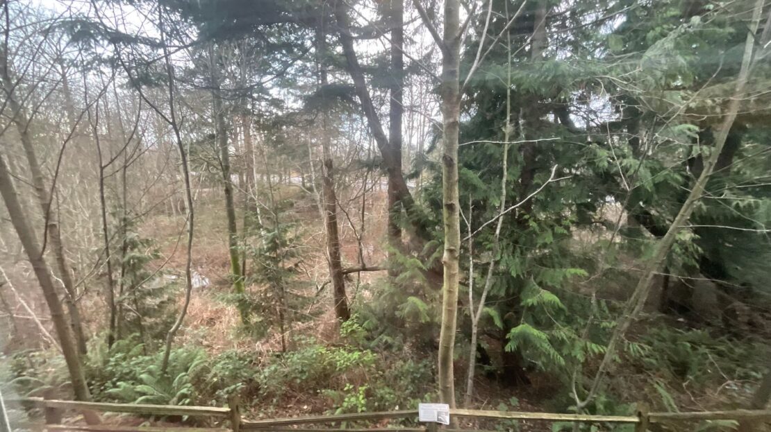 4018 Northwest Avenue - Bellingham - Washington - 2 bed, 2 bath rental property