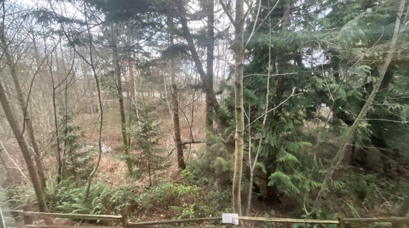 4018 Northwest Avenue - Bellingham - Washington - 2 bed, 2 bath rental property