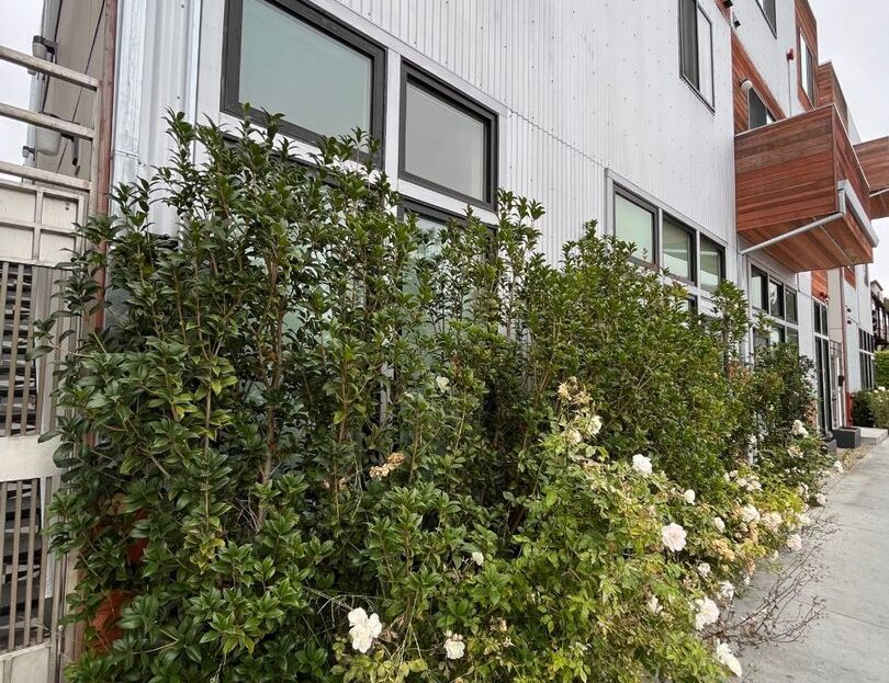 5304 San Pablo Ave APT A - Oakland - California - 1 bath rental property