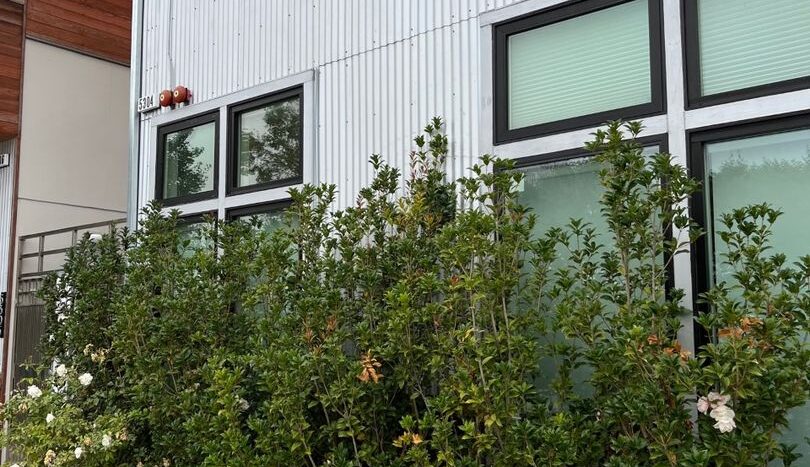 5304 San Pablo Ave APT A - Oakland - California - 1 bath rental property