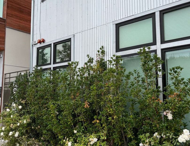 5304 San Pablo Ave APT A - Oakland - California - 1 bath rental property