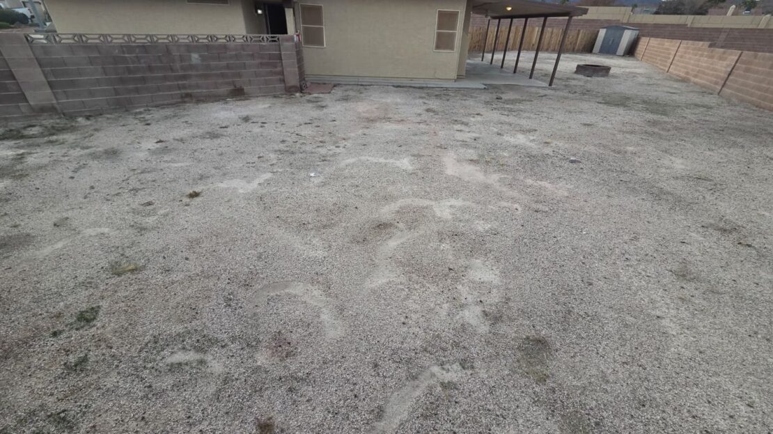 810 Bergamont Dr - Henderson - Nevada - 4 bed, 2 bath rental property