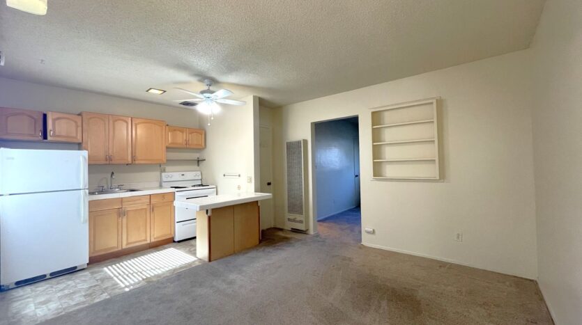 1027 Felspar Street - San Diego - California - 1 bed, 1 bath rental property