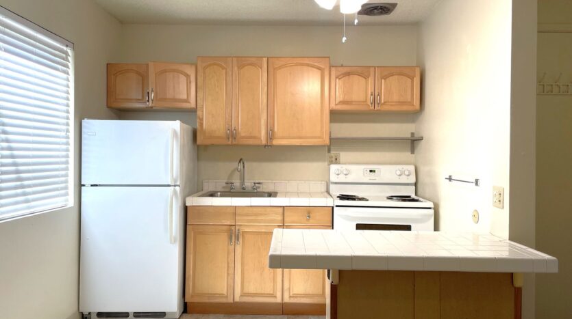 1027 Felspar Street - San Diego - California - 1 bed, 1 bath rental property