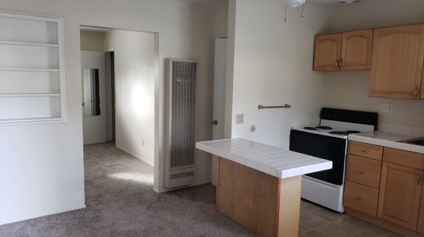 1027 Felspar Street - San Diego - California - 1 bed, 1 bath rental property