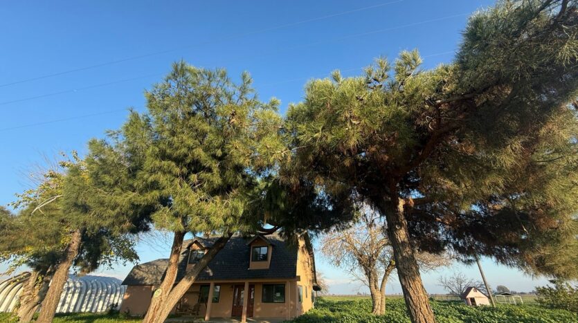 10592 360 Ave  - Visalia - California - 4 bed, 2 bath rental property