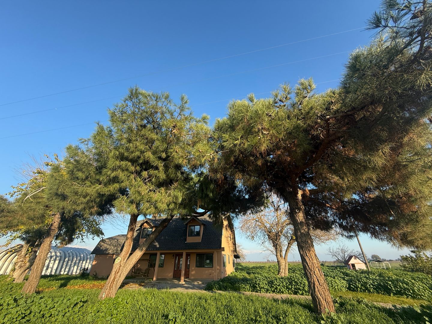 10592 360 Ave  - Visalia - California - 4 bed, 2 bath rental property