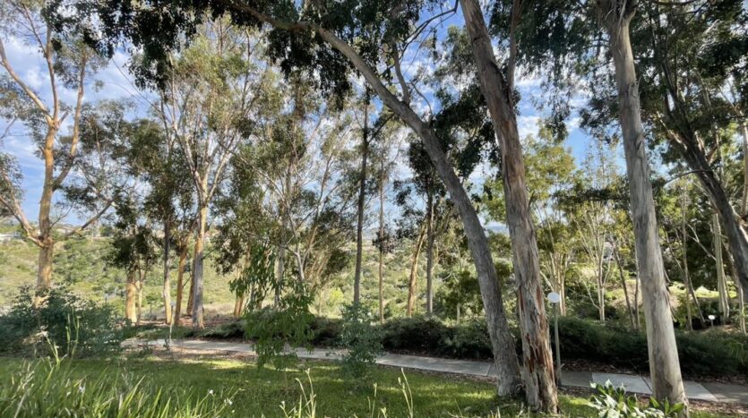 10885 Caravelle Place - San Diego - California - 3 bed, 2.5 bath rental property