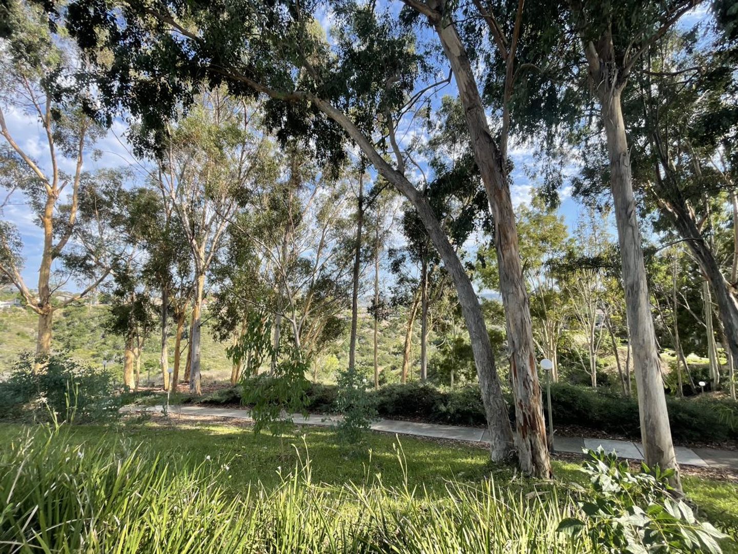 10885 Caravelle Place - San Diego - California - 3 bed, 2.5 bath rental property