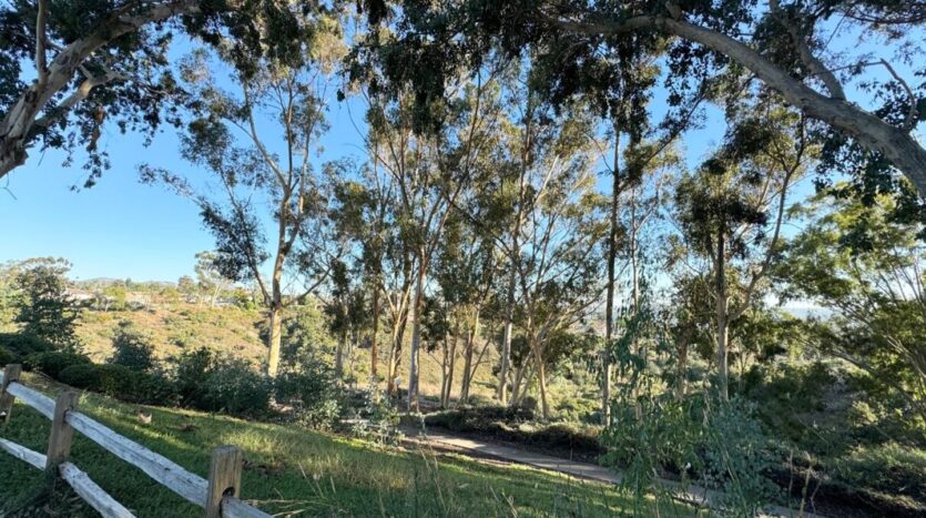 10885 Caravelle Place - San Diego - California - 3 bed, 2.5 bath rental property